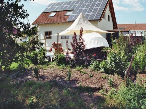 Riedblick Apartment Bad Buchau Bagian luar foto